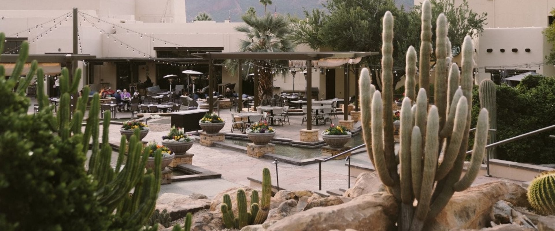 The Best American Cuisine Restaurants in Scottsdale, AZ